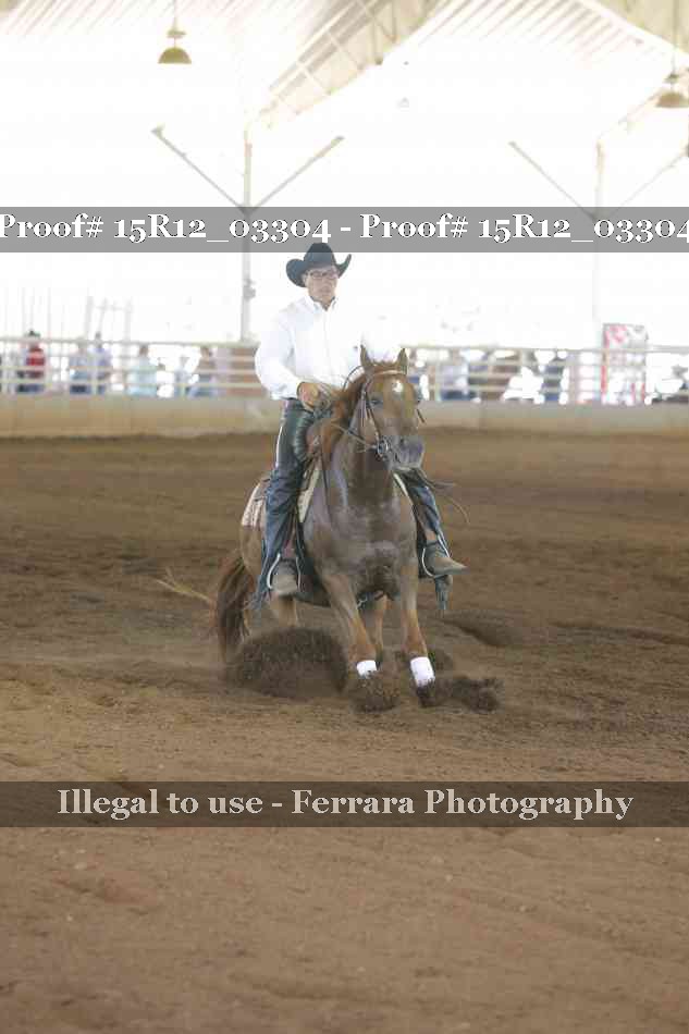 Proof 15R12_03304