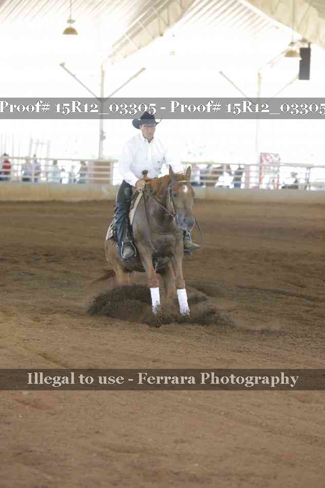 Proof 15R12_03305