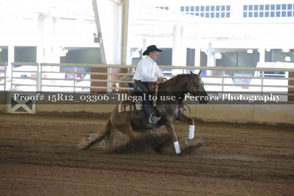 Proof 15R12_03306