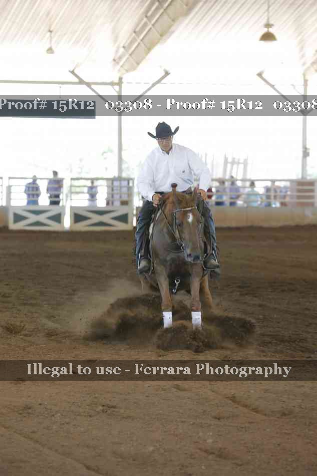 Proof 15R12_03308