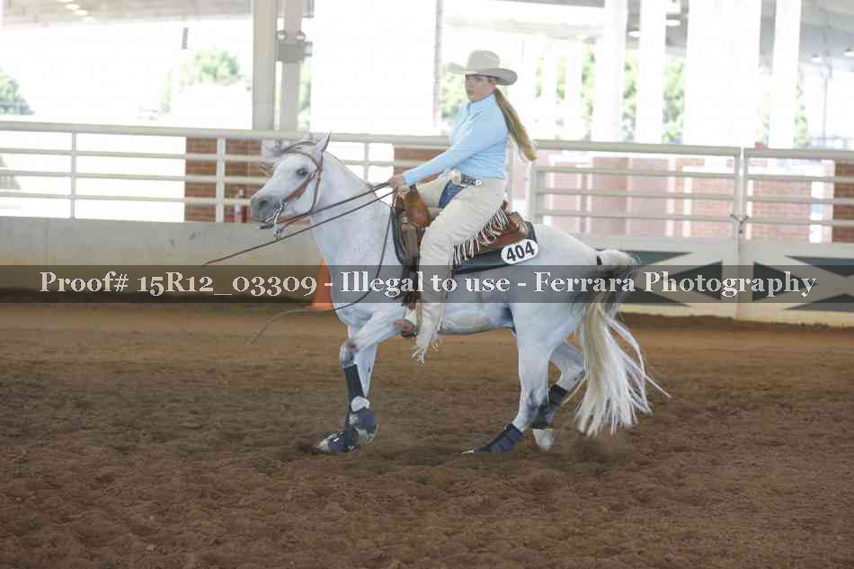 Proof 15R12_03309