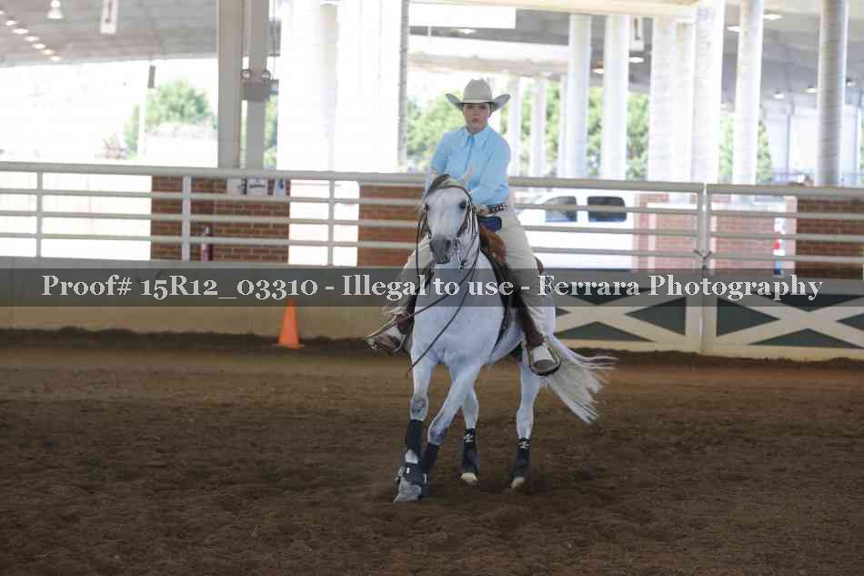 Proof 15R12_03310