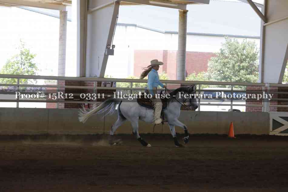 Proof 15R12_03311