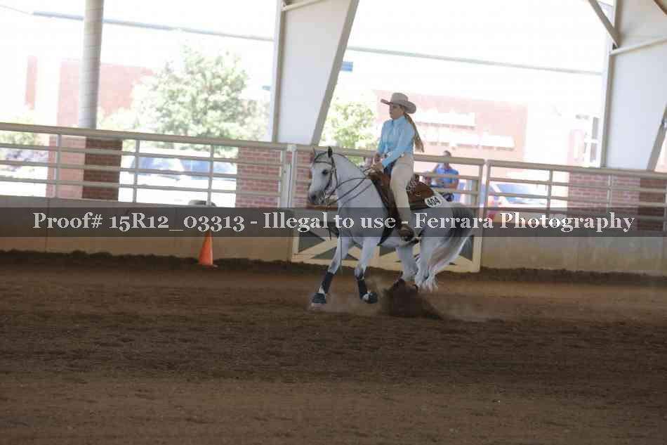 Proof 15R12_03313
