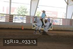 15R12_03313 proof