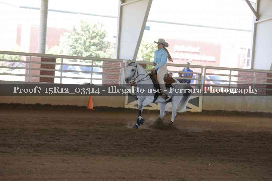 Proof 15R12_03314