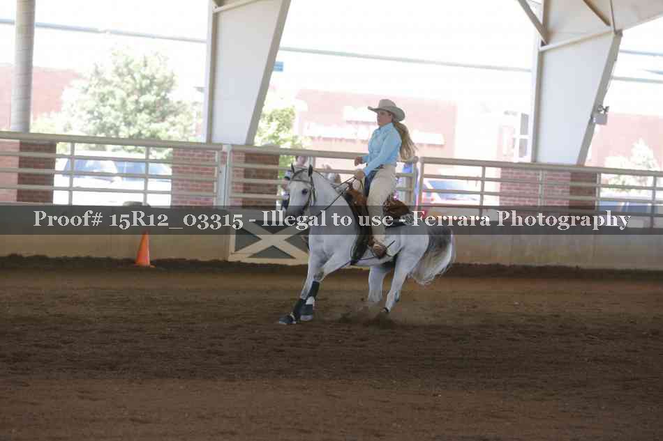 Proof 15R12_03315