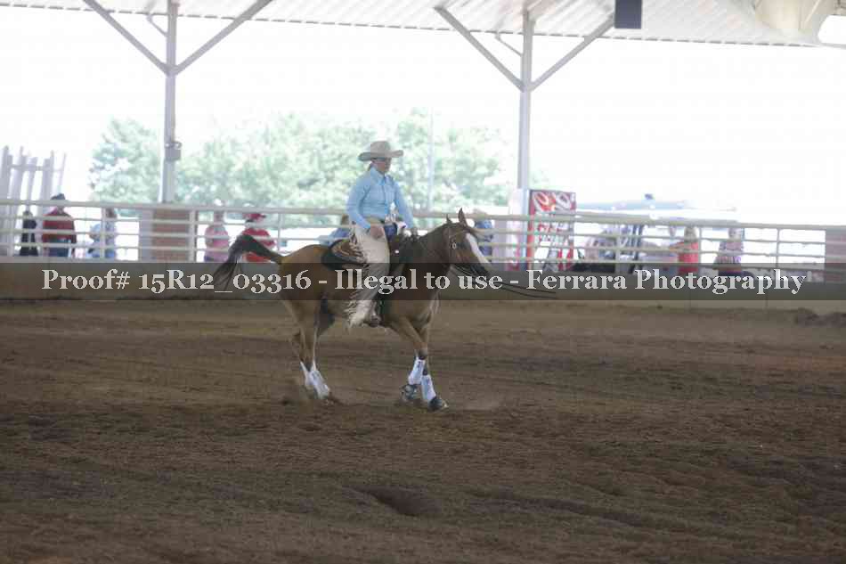 Proof 15R12_03316