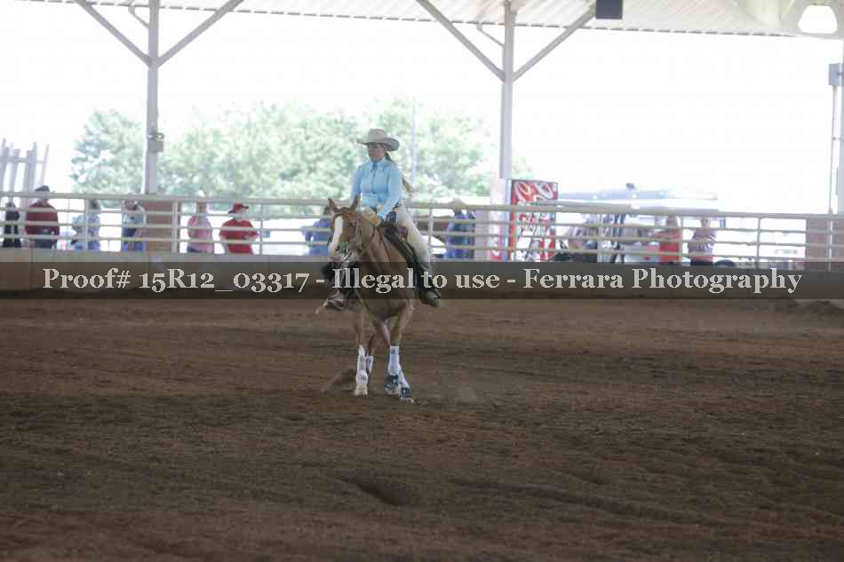 Proof 15R12_03317