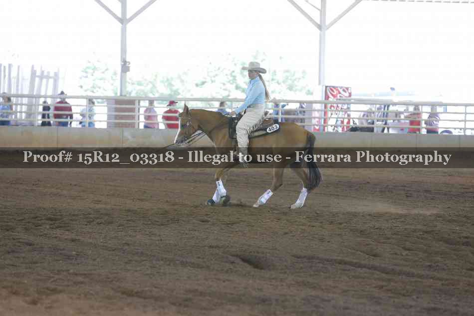 Proof 15R12_03318