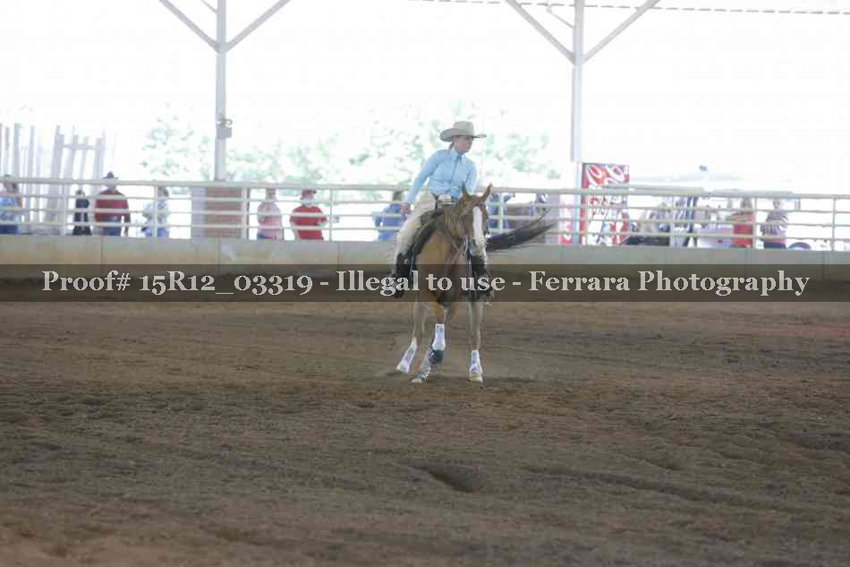 Proof 15R12_03319