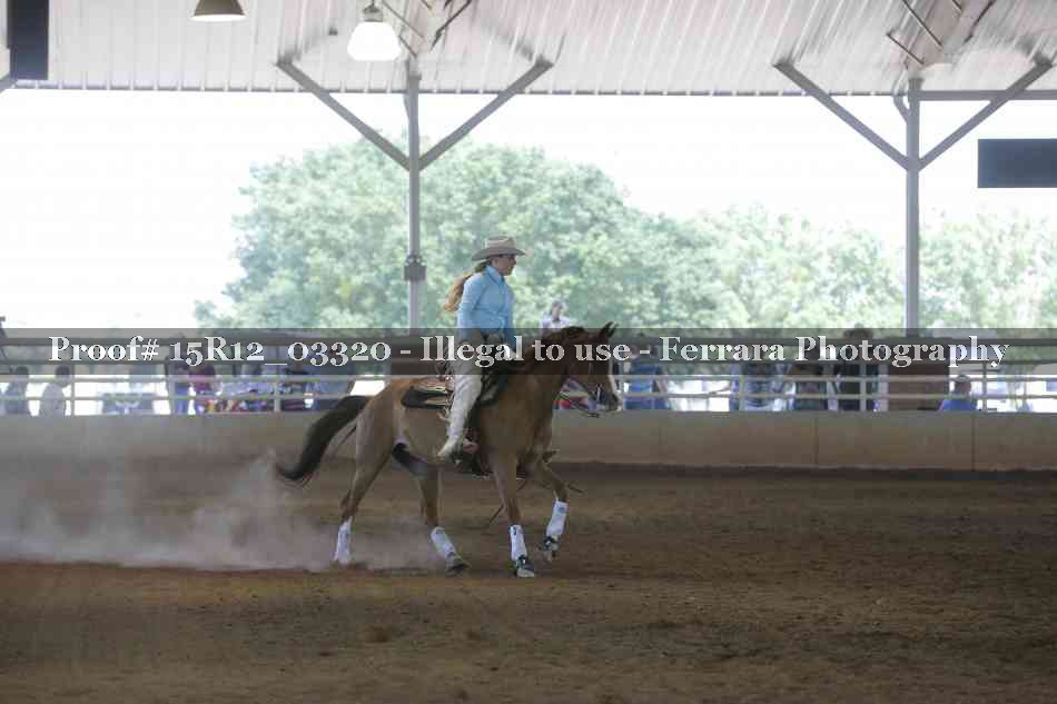 Proof 15R12_03320