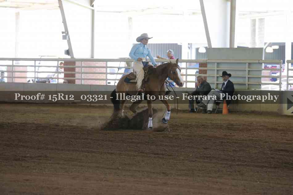 Proof 15R12_03321