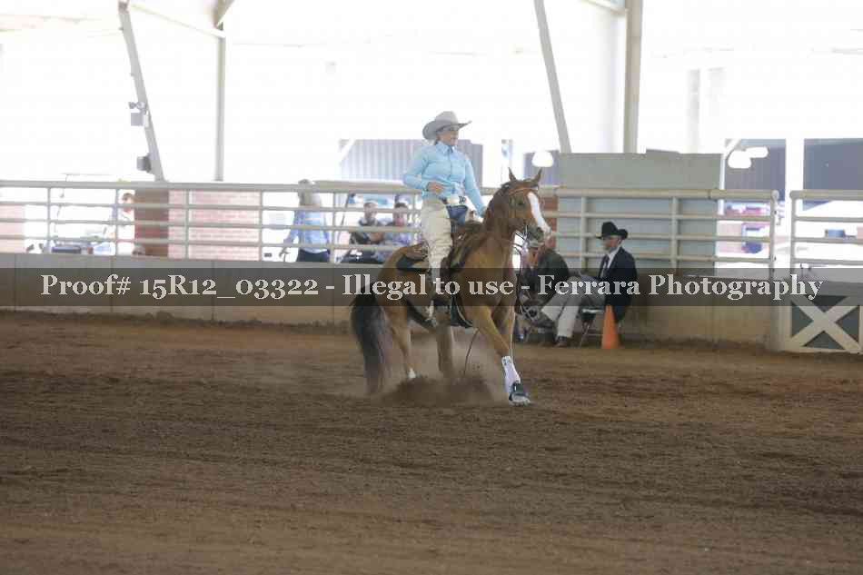 Proof 15R12_03322