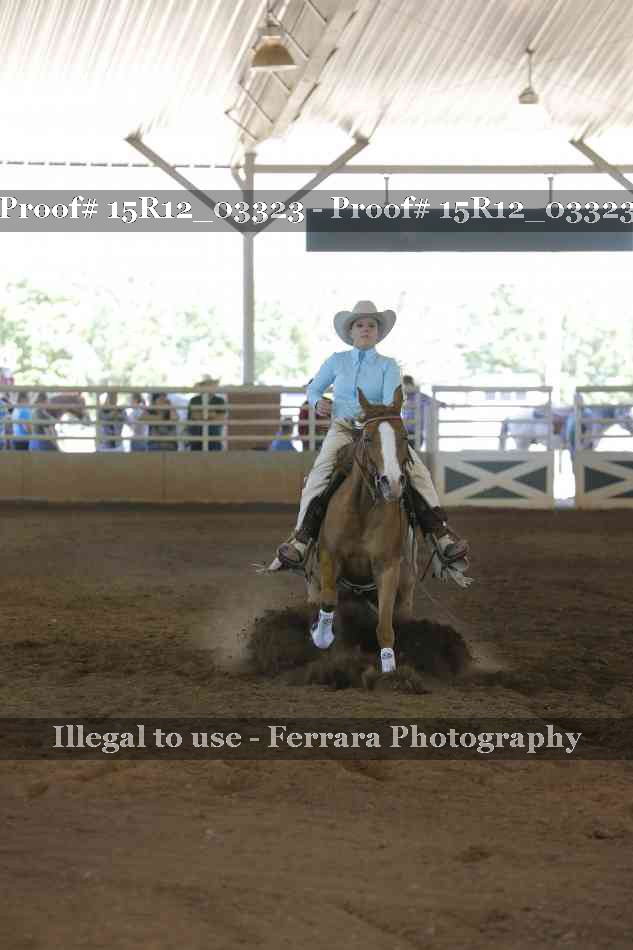 Proof 15R12_03323