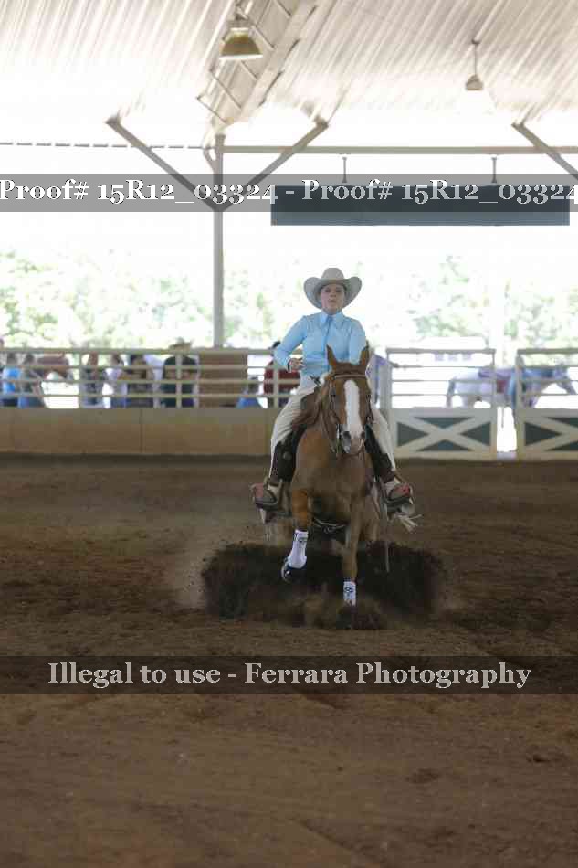 Proof 15R12_03324