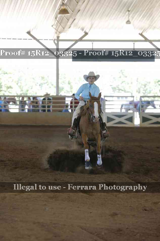 Proof 15R12_03325