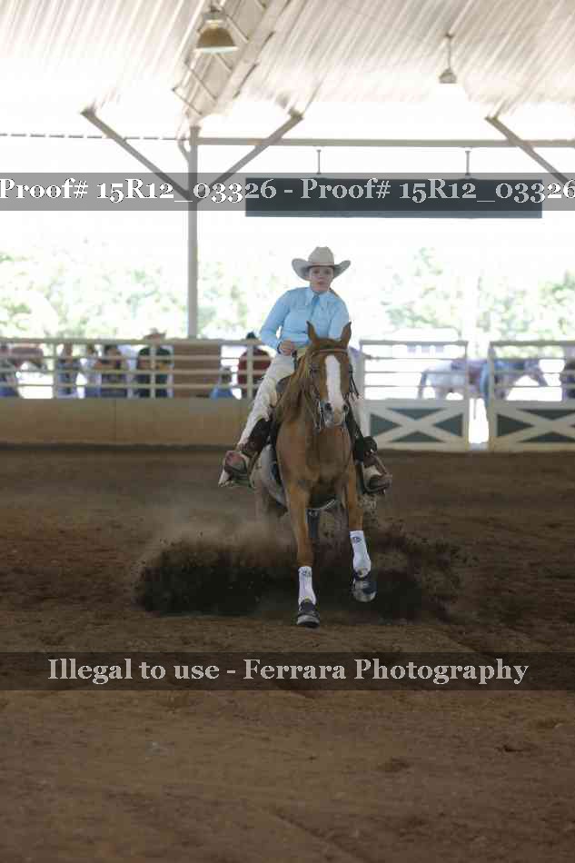 Proof 15R12_03326