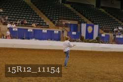 15R12_11154 proof