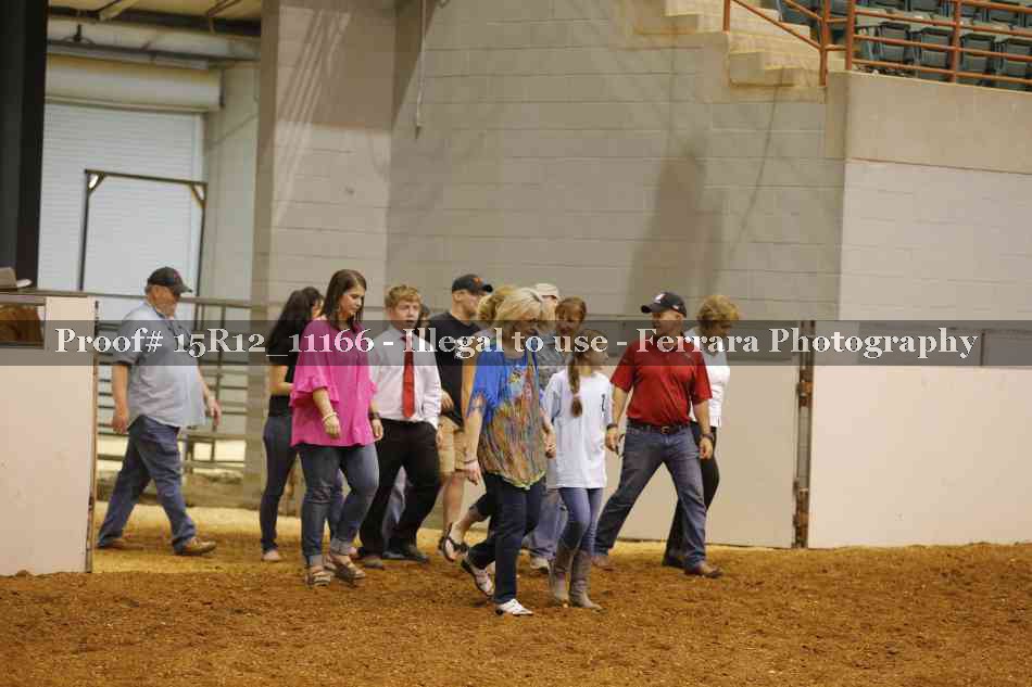 Proof 15R12_11166