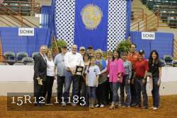 15R12_11183 proof