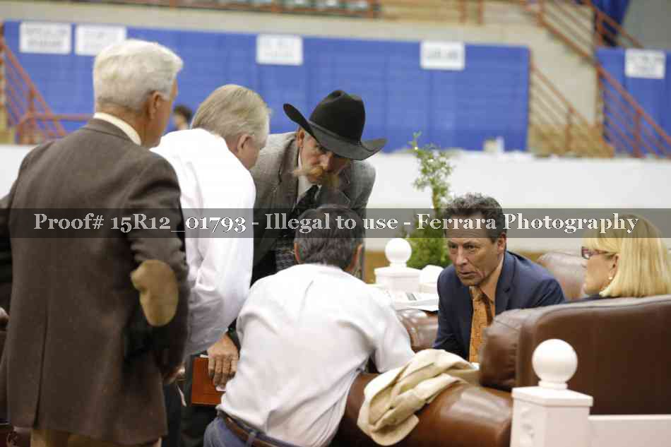Proof 15R12_01793