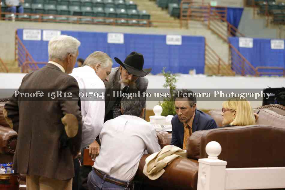 Proof 15R12_01794