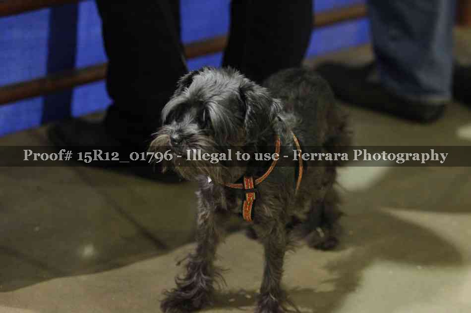 Proof 15R12_01796
