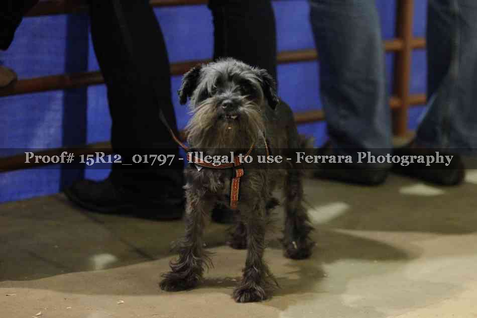 Proof 15R12_01797