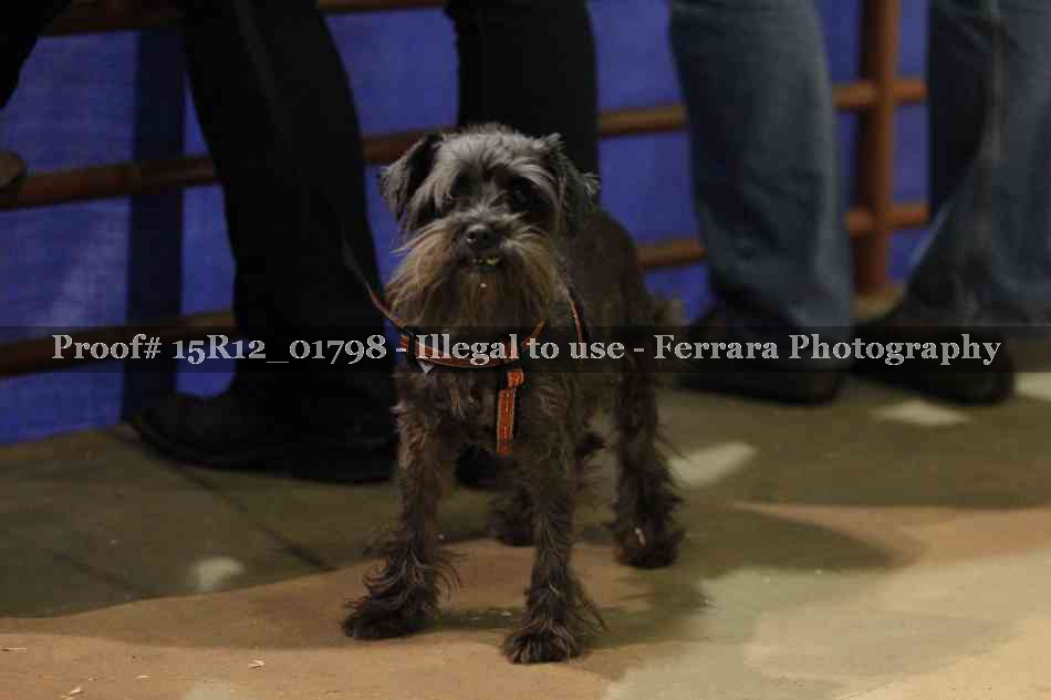 Proof 15R12_01798