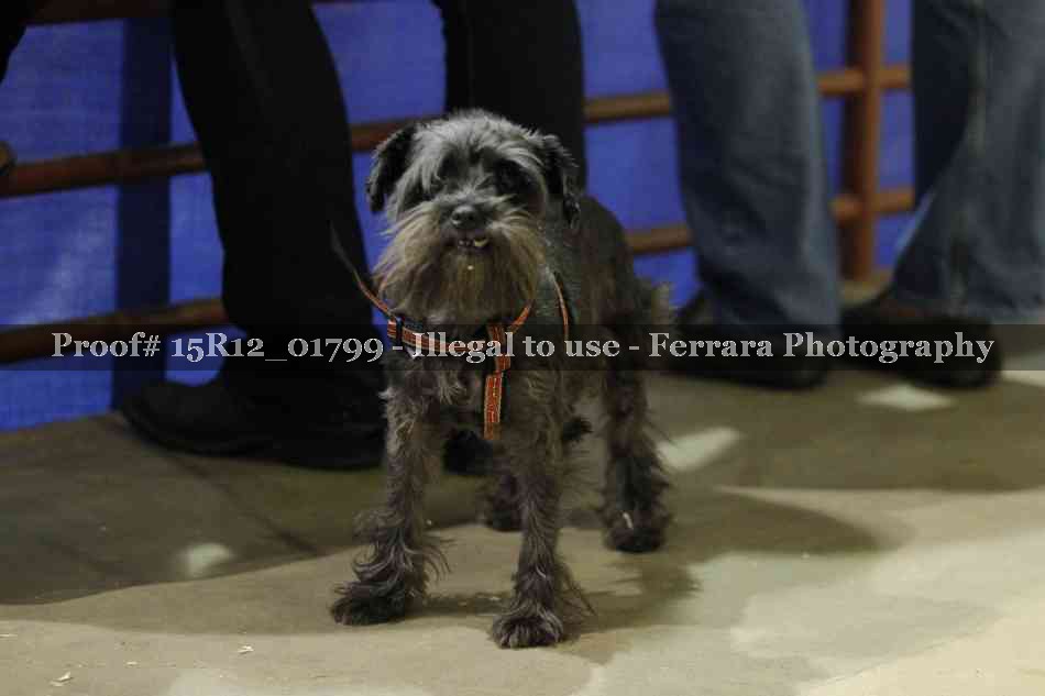 Proof 15R12_01799