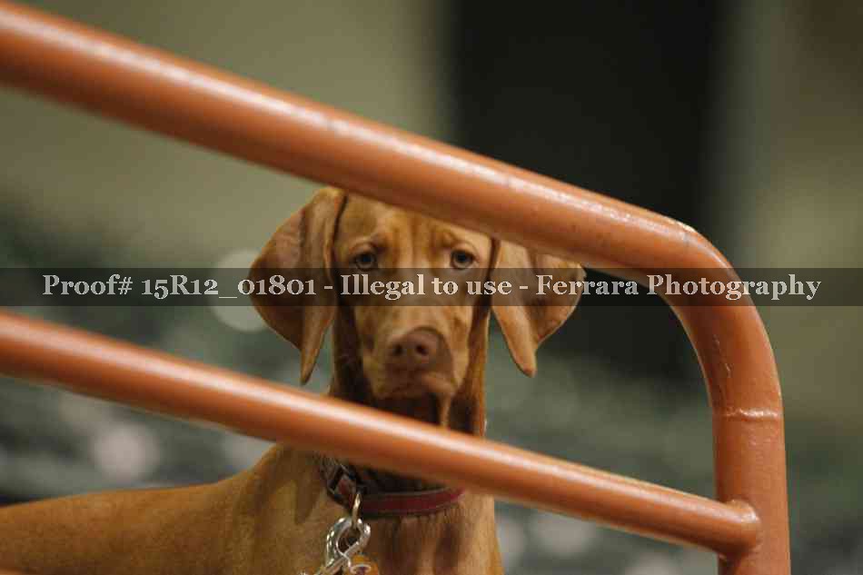 Proof 15R12_01801