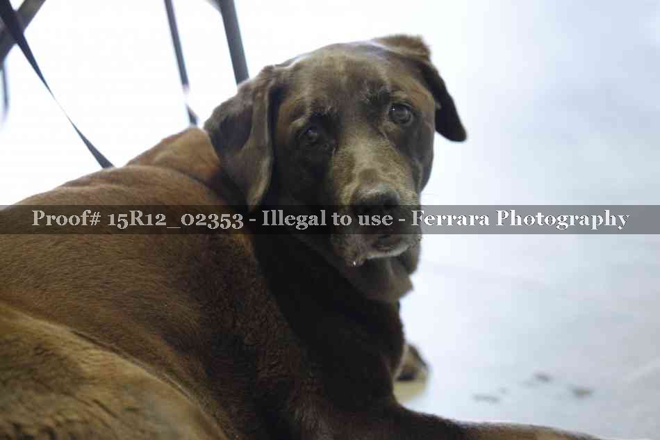 Proof 15R12_02353