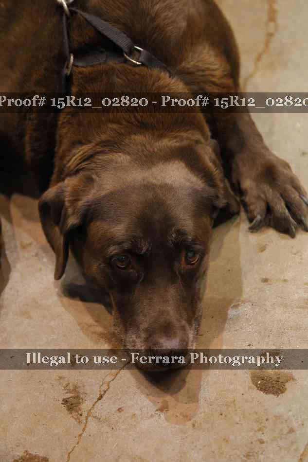Proof 15R12_02820