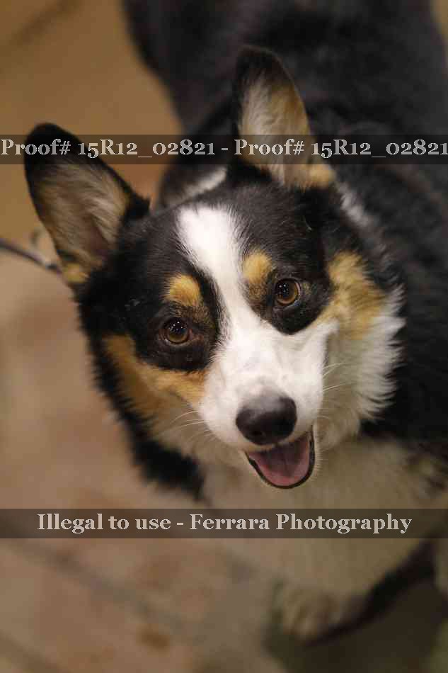 Proof 15R12_02821