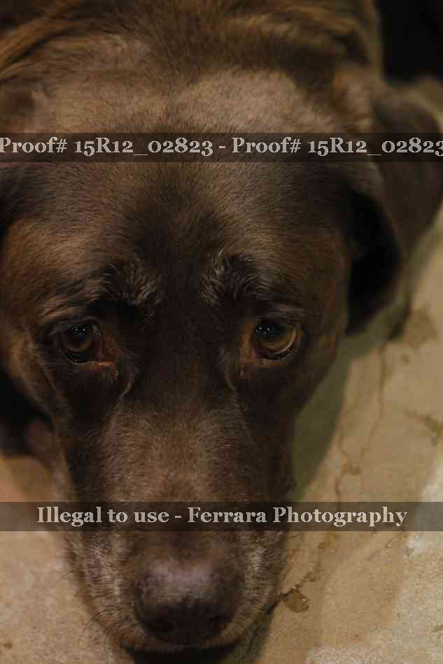 Proof 15R12_02823