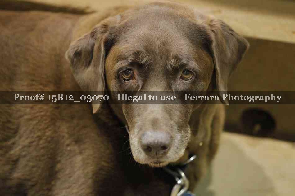 Proof 15R12_03070