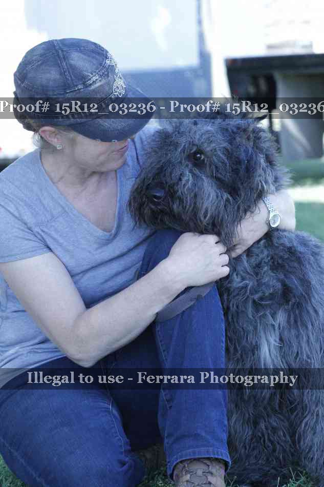 Proof 15R12_03236