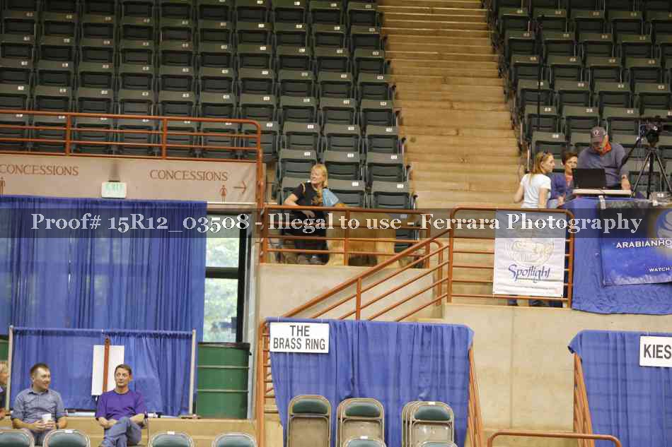Proof 15R12_03508