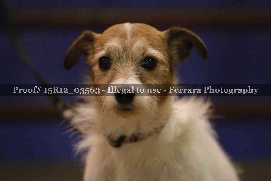 Proof 15R12_03563