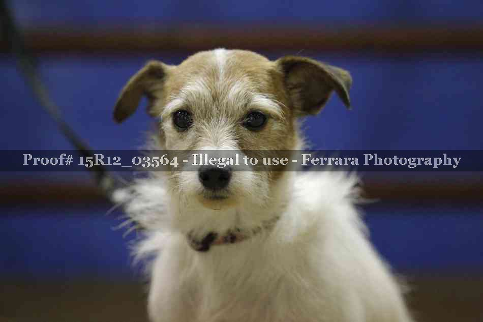 Proof 15R12_03564