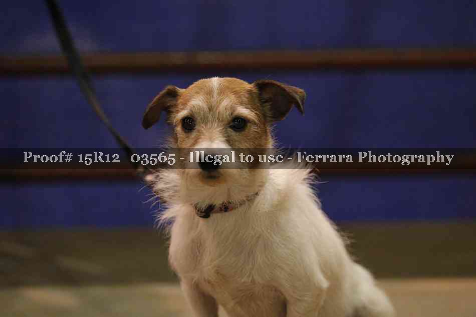 Proof 15R12_03565