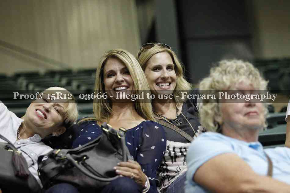 Proof 15R12_03666