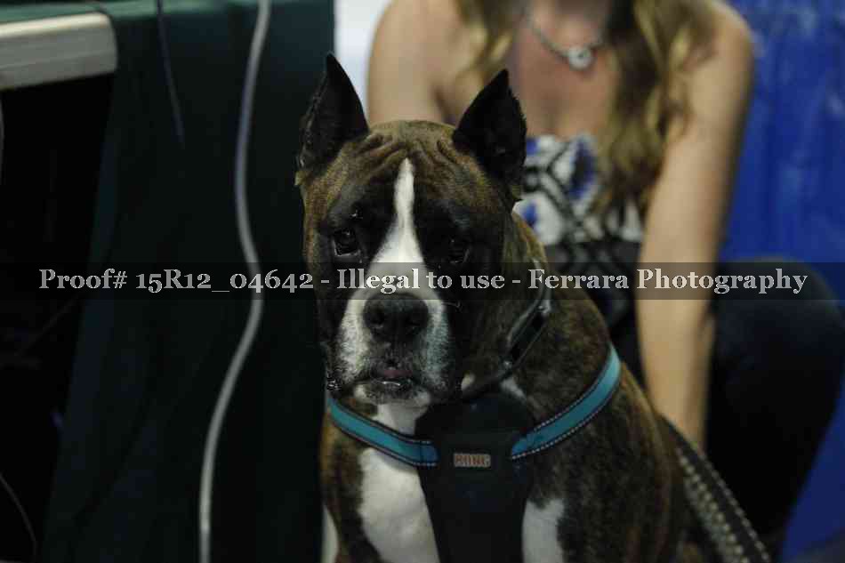 Proof 15R12_04642