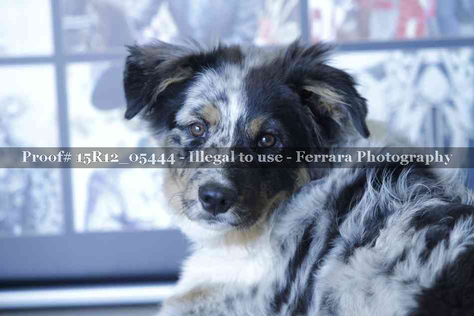 Proof 15R12_05444