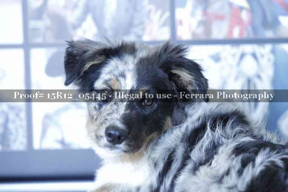 Proof 15R12_05445