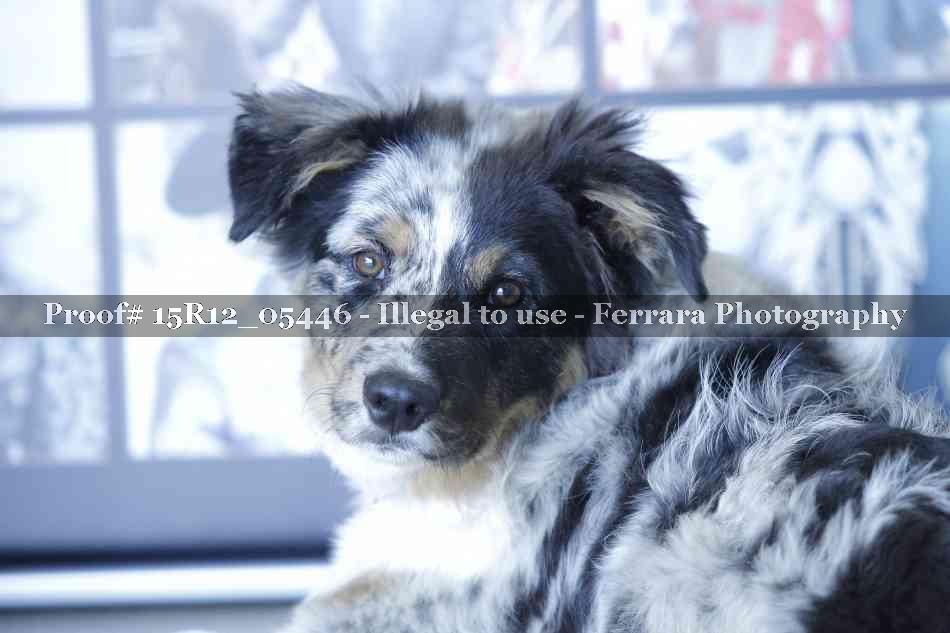 Proof 15R12_05446