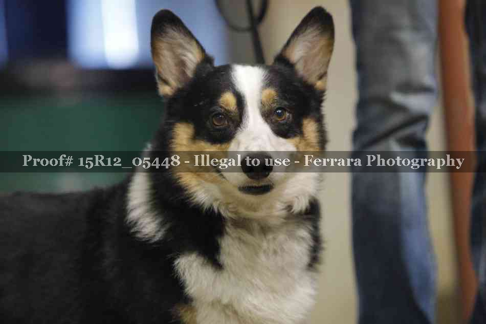 Proof 15R12_05448