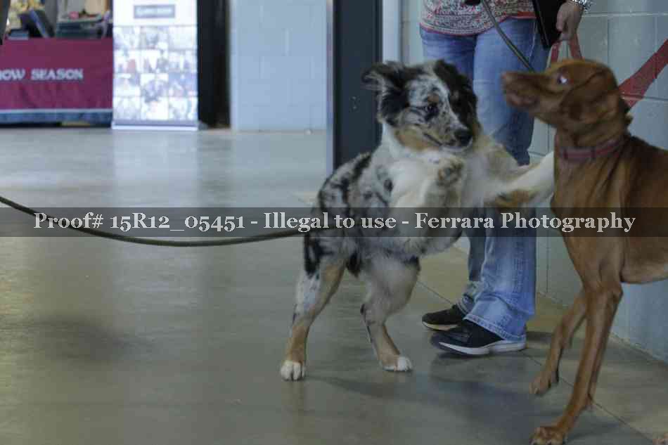 Proof 15R12_05451