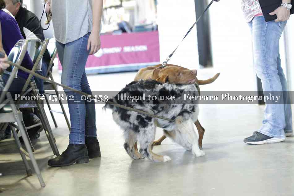 Proof 15R12_05453